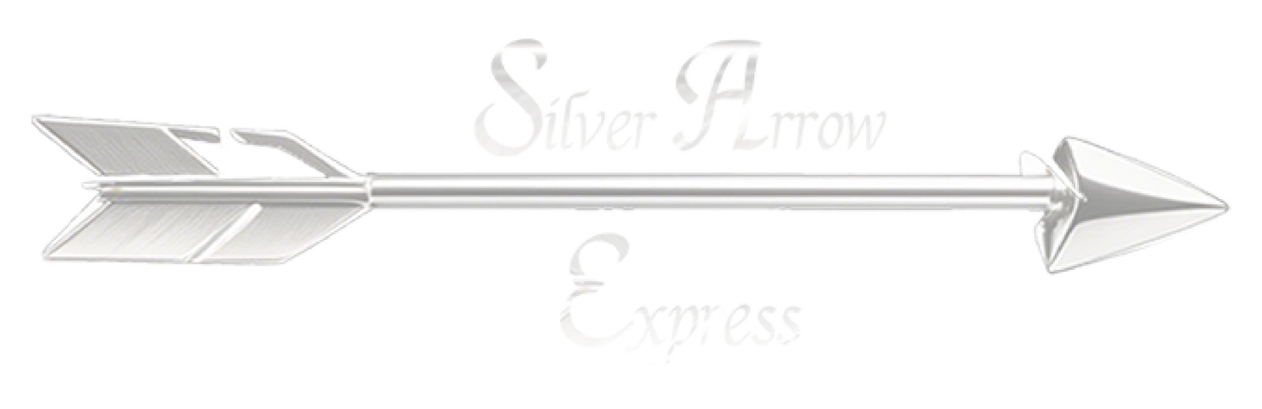 Silver Arrow Express logo